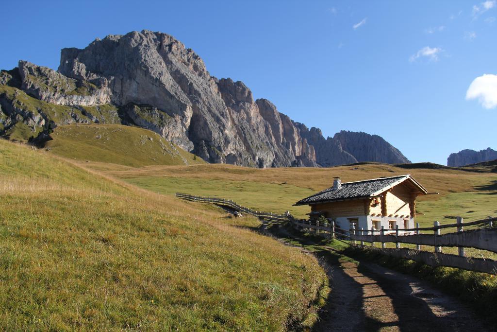 Apartments Vaiolet Santa Cristina Val Gardena Exteriör bild